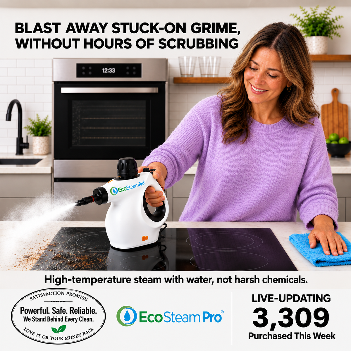 EcoSteam Pro® | Chemical-Free