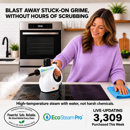 EcoSteam Pro® | Chemical-Free
