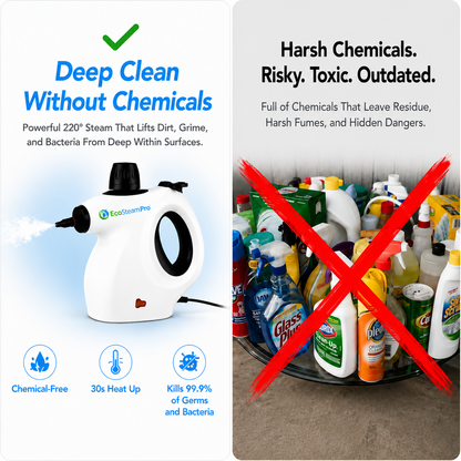 EcoSteam Pro®