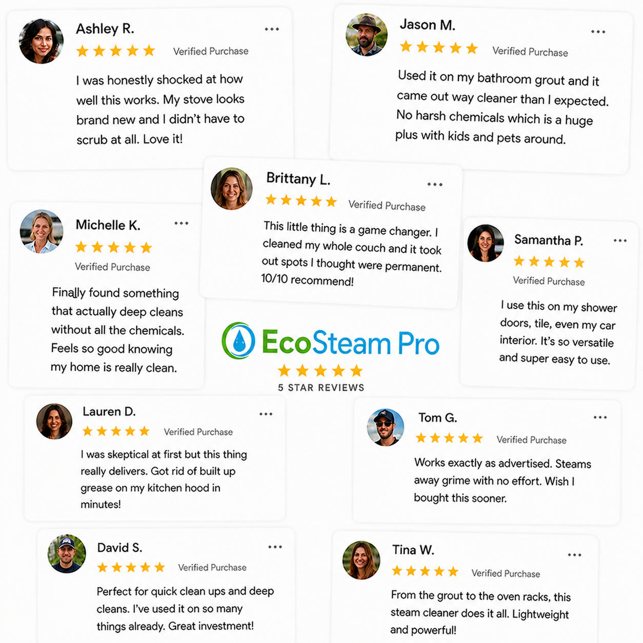 EcoSteam Pro®