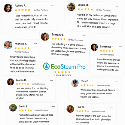 EcoSteam Pro®