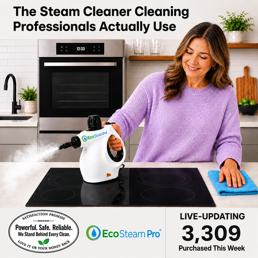 EcoSteam Pro® | Chemical-Free