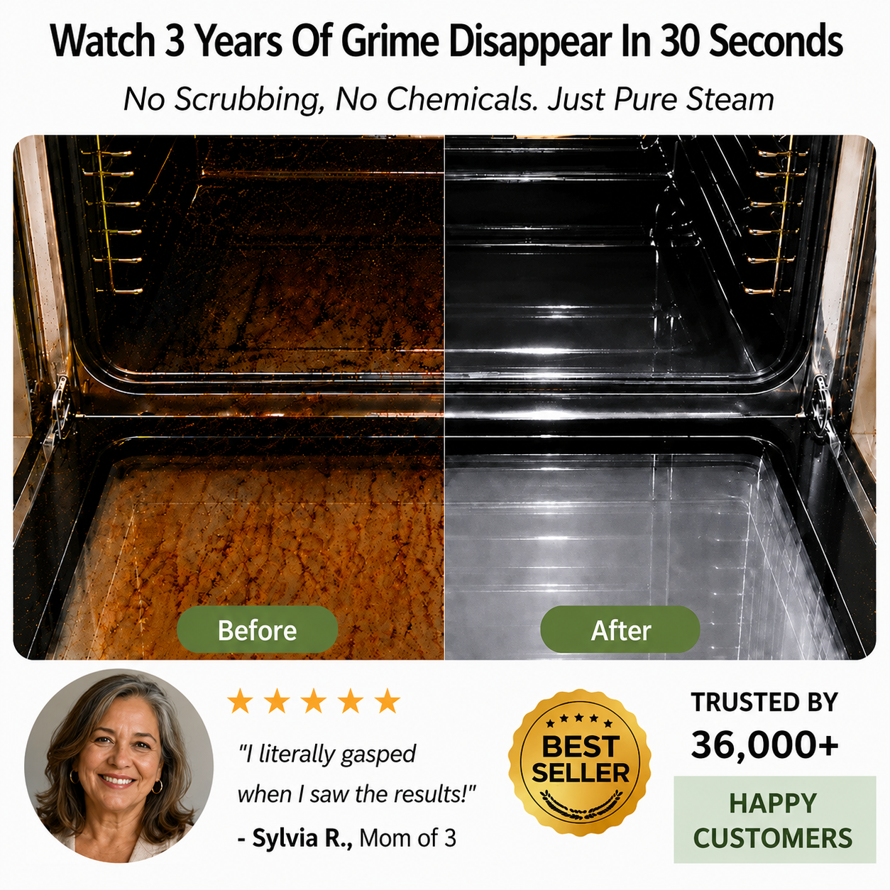 EcoSteam Pro® | Chemical-Free