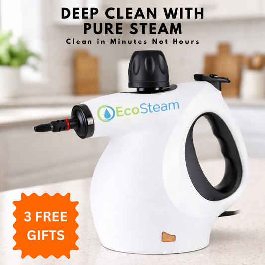 EcoSteam Pro - With SteamBlast™ Technology