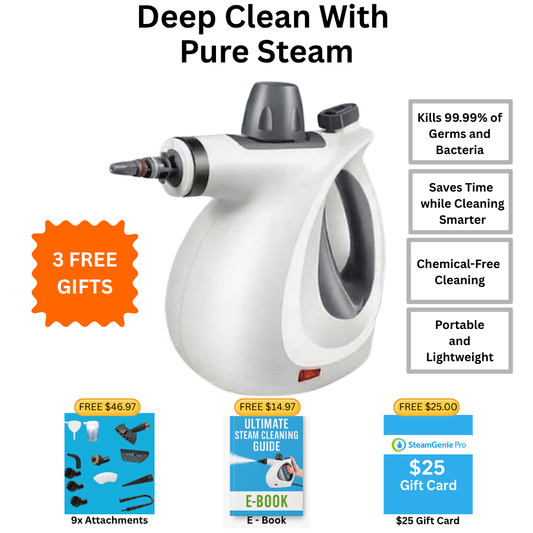 EcoSteam Pro - With SteamBlast™ Technology