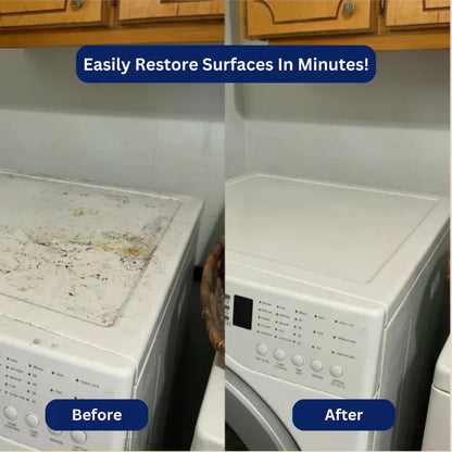 EcoSteam™ Pro - SteamBlast Technology